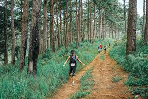 BIB: 
                            <button type="button" onclick="openModal(25661233)" class="btn btn-primary btn-sm float-right btn-popup" data-toggle="modal" data-target=".modal-high-quality">
                        <i class="fas fa-shopping-cart"></i> Add to Cart
                    </button>
                                            <button type="button" onclick="isThisMe(25661233, true)" class="btn btn-success btn-sm float-right btn-popup btn-isme hidden" data-toggle="tooltip" data-placement="bottom" title="นี่คือรูปของคุณใช่ไหม คลิกที่นี่เพื่อเอาเข้าอัลบั้ม">
                        <i class="fas fa-plus"></i> Add to album
                    </button>
                    <button type="button" onclick="isThisMe(25661233, false)" class="btn btn-warning btn-sm float-right btn-popup btn-isnotme hidden">
                        <i class="fas fa-ban"></i> Remove from album
                    </button>